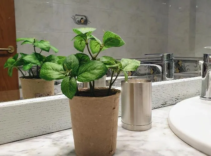 House Elegant * كالاماتا